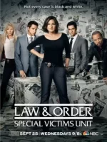 Закон и порядок. Специальный корпус смотреть онлайн сериал 1-24 сезон